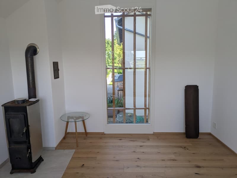 Room with wooden floor, white walls, wood stove, glass table, radiator, and window overlooking a patio with outdoor furniture.
