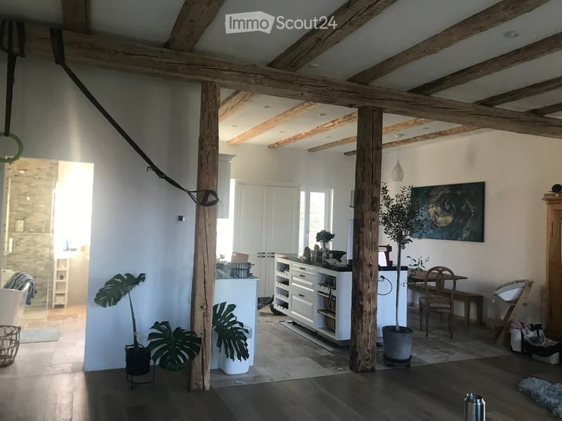 Open-plan living and dining area with exposed wooden beams, a kitchen island, dining table, chairs, potted plants, and a painting on the wall.