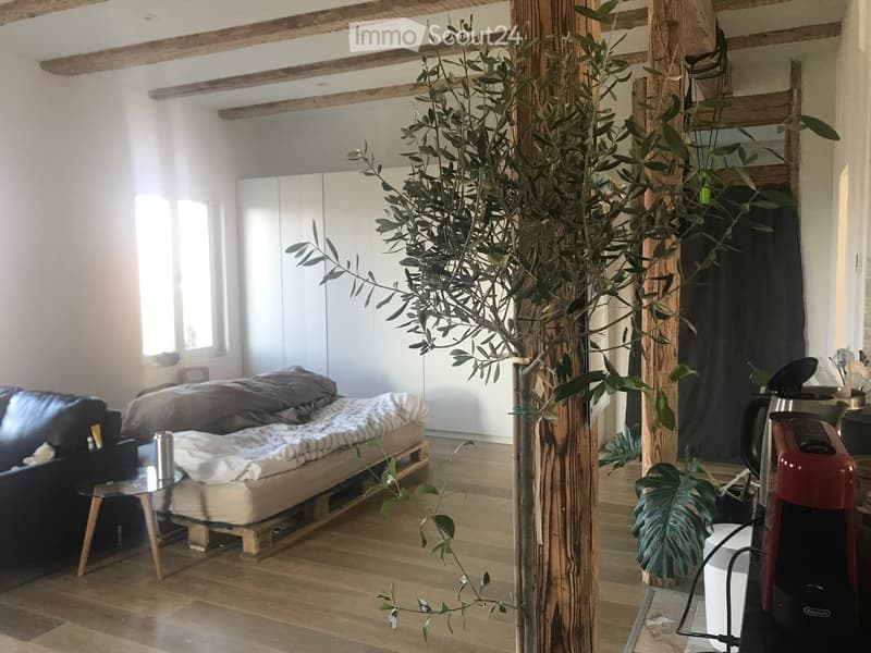 A modern, open-concept living and sleeping area with a wooden floor, exposed wooden beams, a large olive tree in a pot, a black leather sofa, a platform bed, a glass coffee table, and a red coffee maker on a small table.
