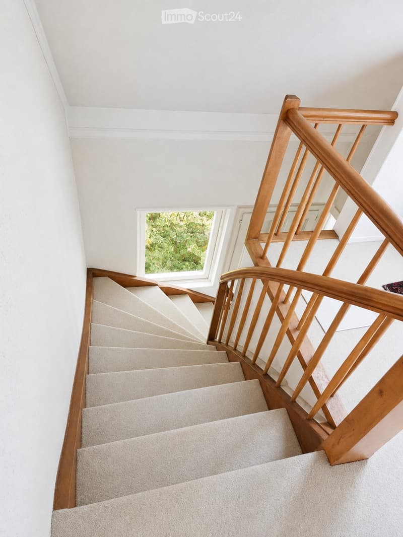 Spiral staircase with wooden handrail and beige carpeted steps, leading up to a window with a view of greenery.