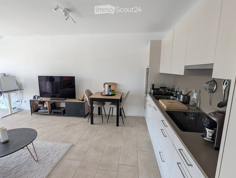A modern, open-plan living and dining area with a kitchen. The space features a large flat-screen TV on a stand, a dining table with chairs, a small round coffee table, and a fully equipped kitchen with white cabinets, a sink, and various appliances.