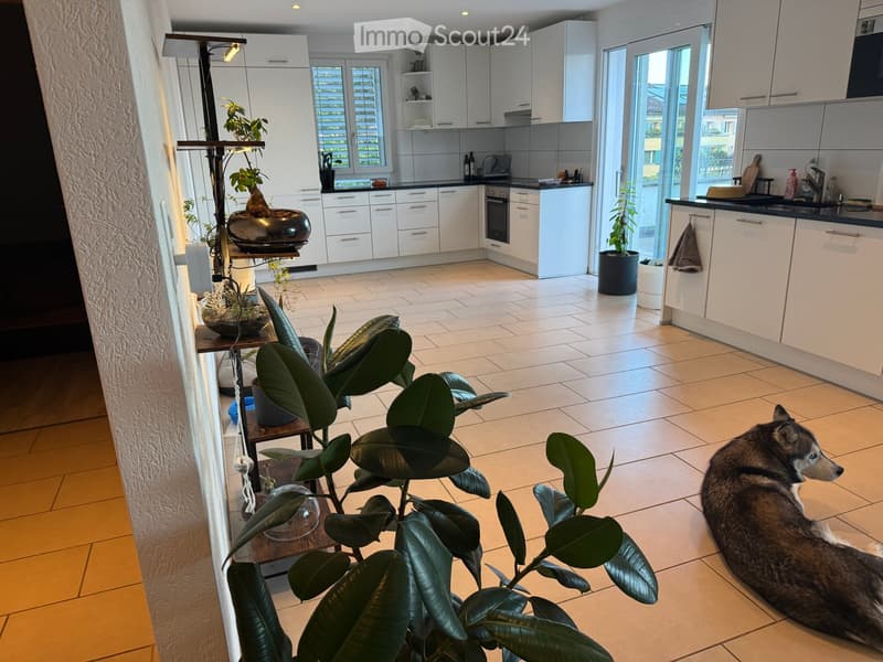A modern kitchen with white cabinets, a tiled floor, and a large window. A dog is lying on the floor near a leafy plant, and there is a small table with potted plants in the foreground.