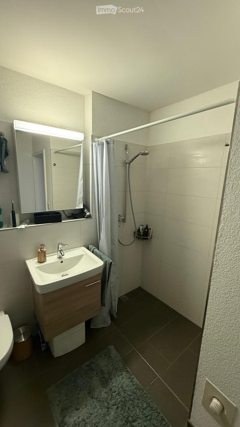 Modern bathroom with a white sink, mirror, shower area with a curtain, and a small rug on the floor.