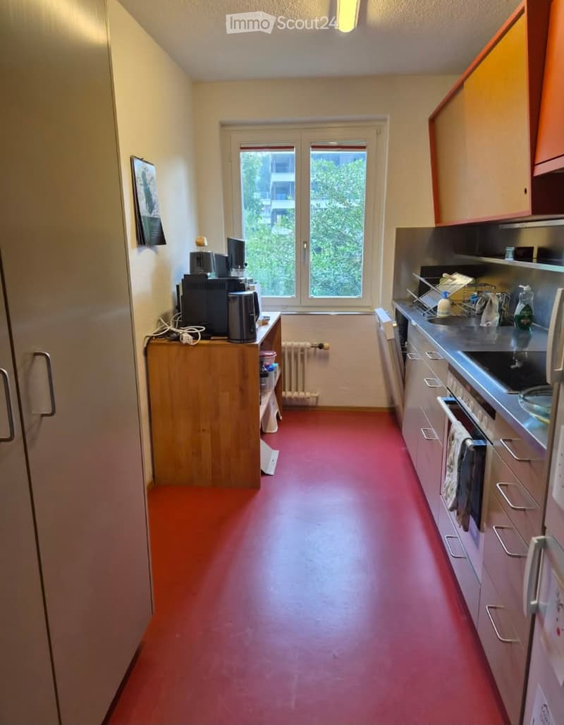 The kitchen features a red floor, white walls, and a window with a view of greenery. It includes a refrigerator, oven, sink, dish rack, microwave, and a wooden cabinet with a picture frame on the wall.