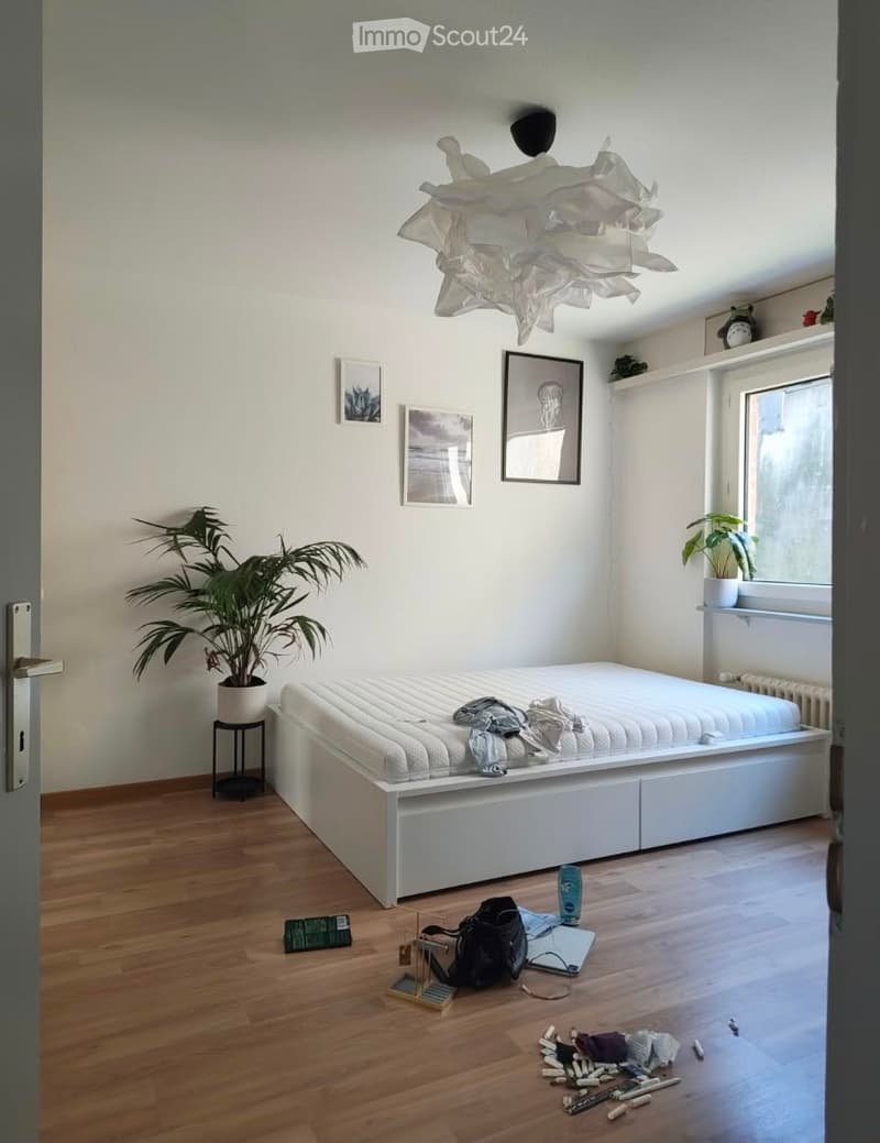A modern, minimalist bedroom with a white bed frame, wooden flooring, and contemporary decor including artwork, potted plants, and a stylish chandelier.