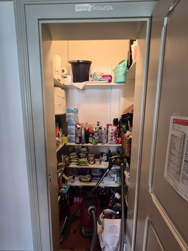A well-organized utility closet with shelves holding cleaning supplies, a vacuum cleaner, and various household items.