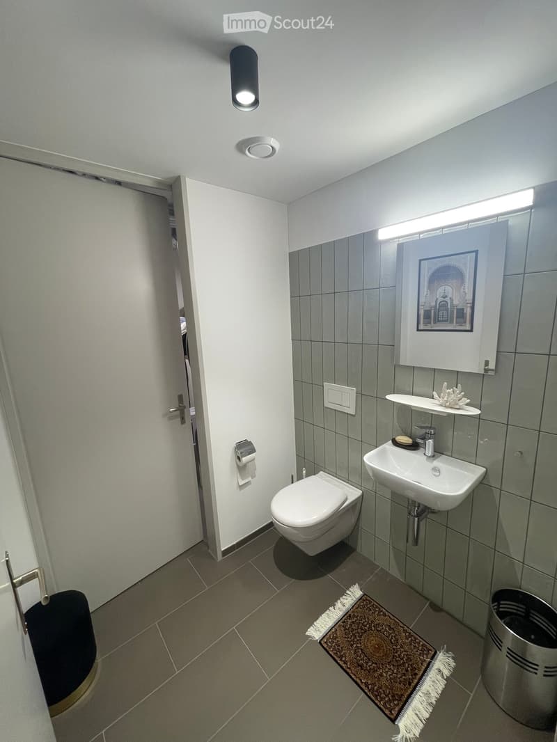 Modern bathroom with grey tiled walls, a white toilet, a white sink with a mirror above it, a picture frame, a small shelf with a decorative item, a light fixture, a trash can, and a bathroom rug.