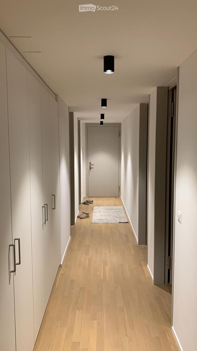 Modern hallway with light wooden flooring, white walls, built-in wardrobes, recessed lighting, and a small rug near the door.