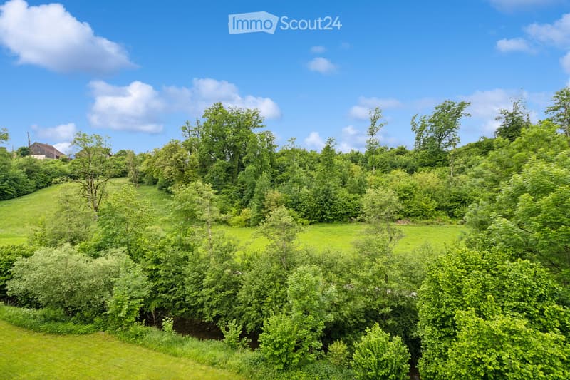 A lush, green garden area with dense trees, shrubs, and a small stream running through it. The area is surrounded by grassy fields and a few scattered houses in the background.