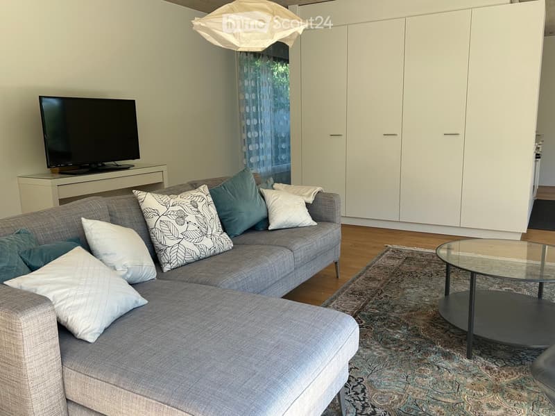 Modern living room with a grey sectional sofa, multiple throw pillows, a glass coffee table, a television on a stand, and a patterned rug on a wooden floor.