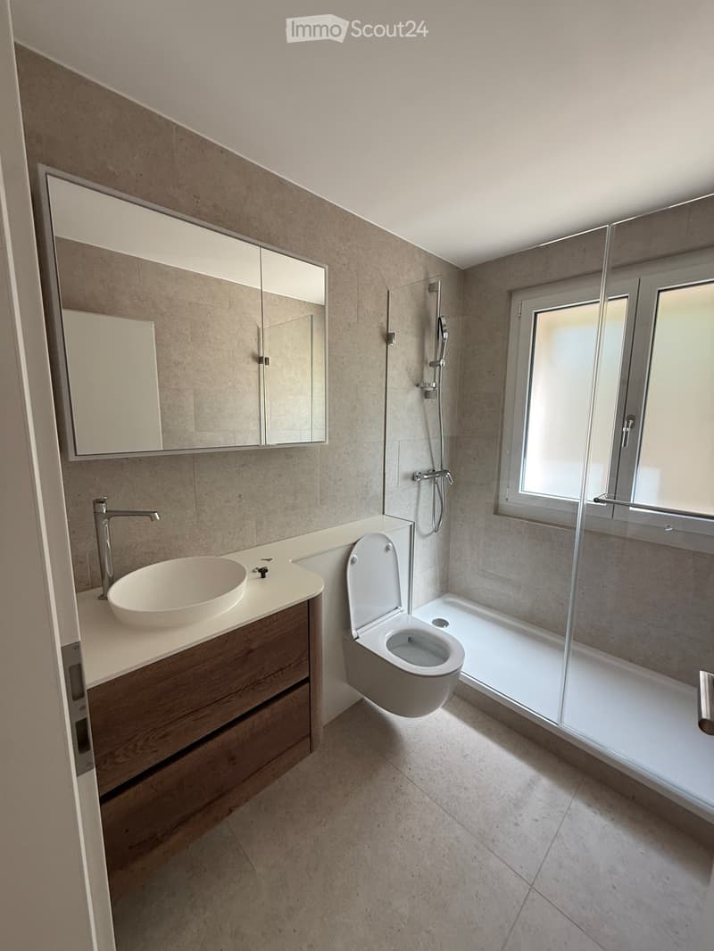 Modern bathroom with a white sink, chrome faucet, toilet, large mirror, and a glass-enclosed shower area.