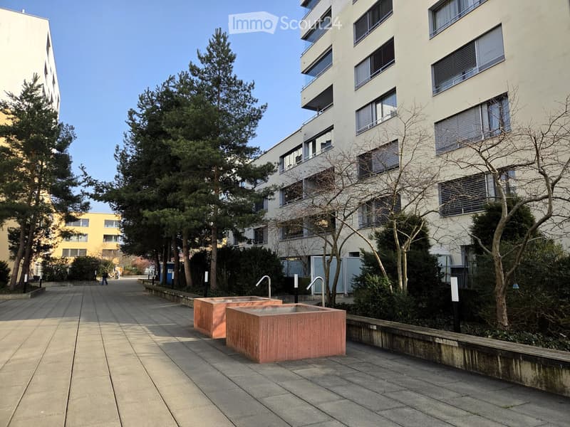 Courtyard area with modern building, trees, and water features.