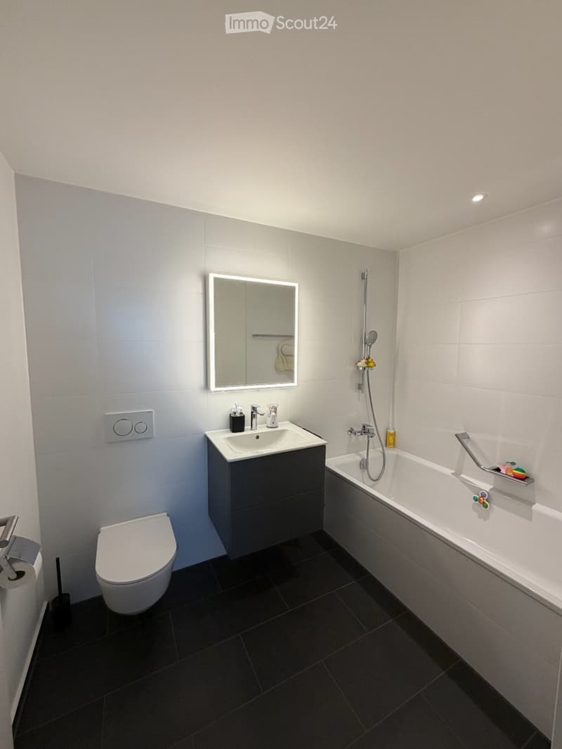 Modern bathroom with dark tiled floor, white walls, a sink with a mirror, a bathtub with a handheld shower, and a toilet.