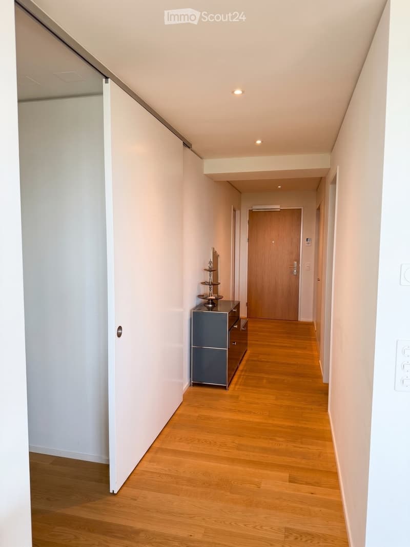 Modern hallway with wooden flooring, white walls, and recessed lighting. Features a small cabinet with a decorative table on top and a wooden door at the end.