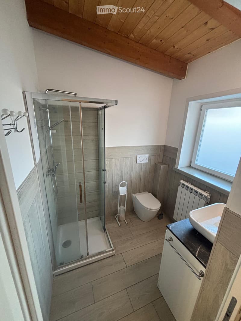 Modern bathroom with wooden flooring, a glass-enclosed shower, a toilet, a sink with a cabinet, and a radiator.