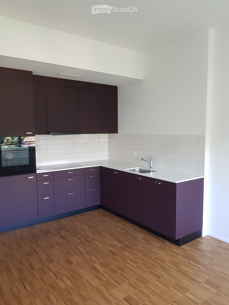 Modern kitchen with dark purple cabinets, light grey countertops, wooden flooring, and stainless steel sink and faucet.