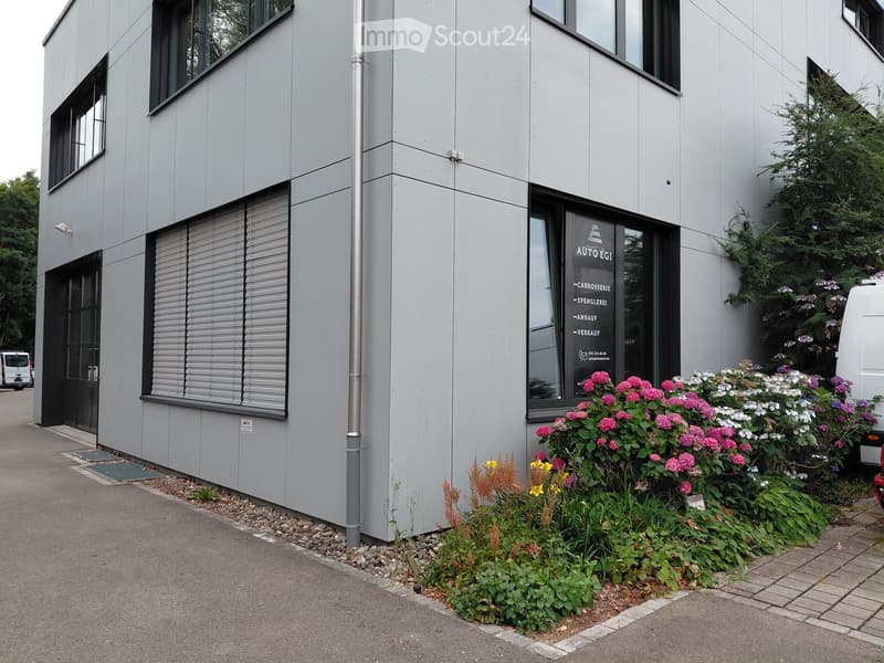 Modern grey building with large windows, a door, and a sign reading AUTO EGI. The entrance is flanked by colorful flower beds and shrubs.