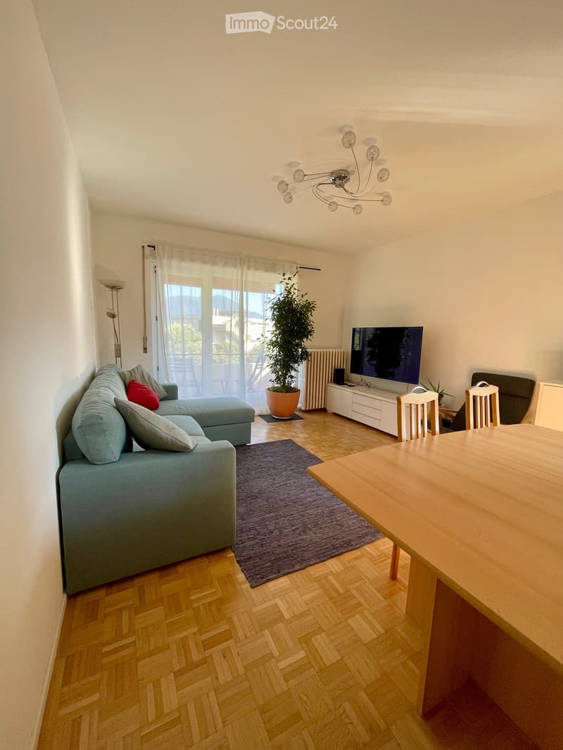 A modern living room with a grey sectional sofa, wooden dining table, chairs, TV, and a potted plant near the window.