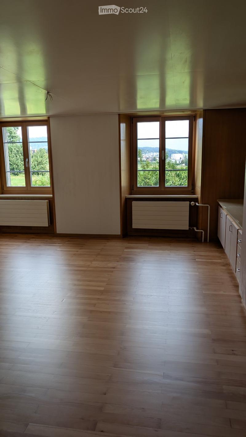 Empty room with wooden flooring, large windows, radiators, and a small cabinet.