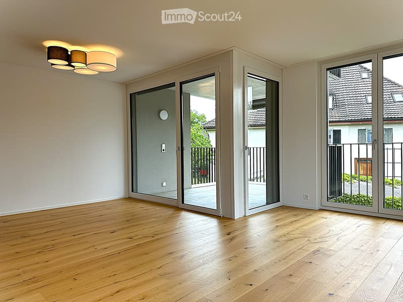 Unfurnished Room. Empty room with light wooden flooring, large glass sliding doors, and modern ceiling lighting.