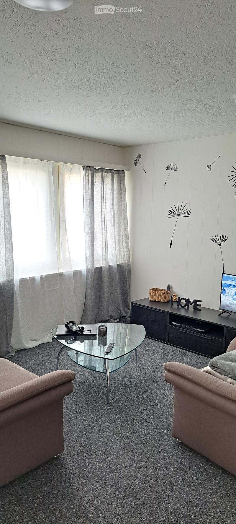 Living room with two sofas, a glass coffee table, a TV stand with a screen, a basket, and decorative wall art.