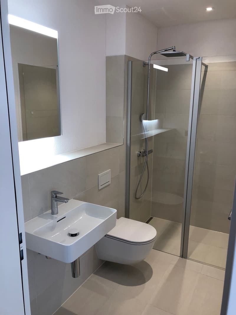 Modern bathroom with a white sink, chrome faucet, toilet, glass-enclosed shower, and a large mirror above the sink.