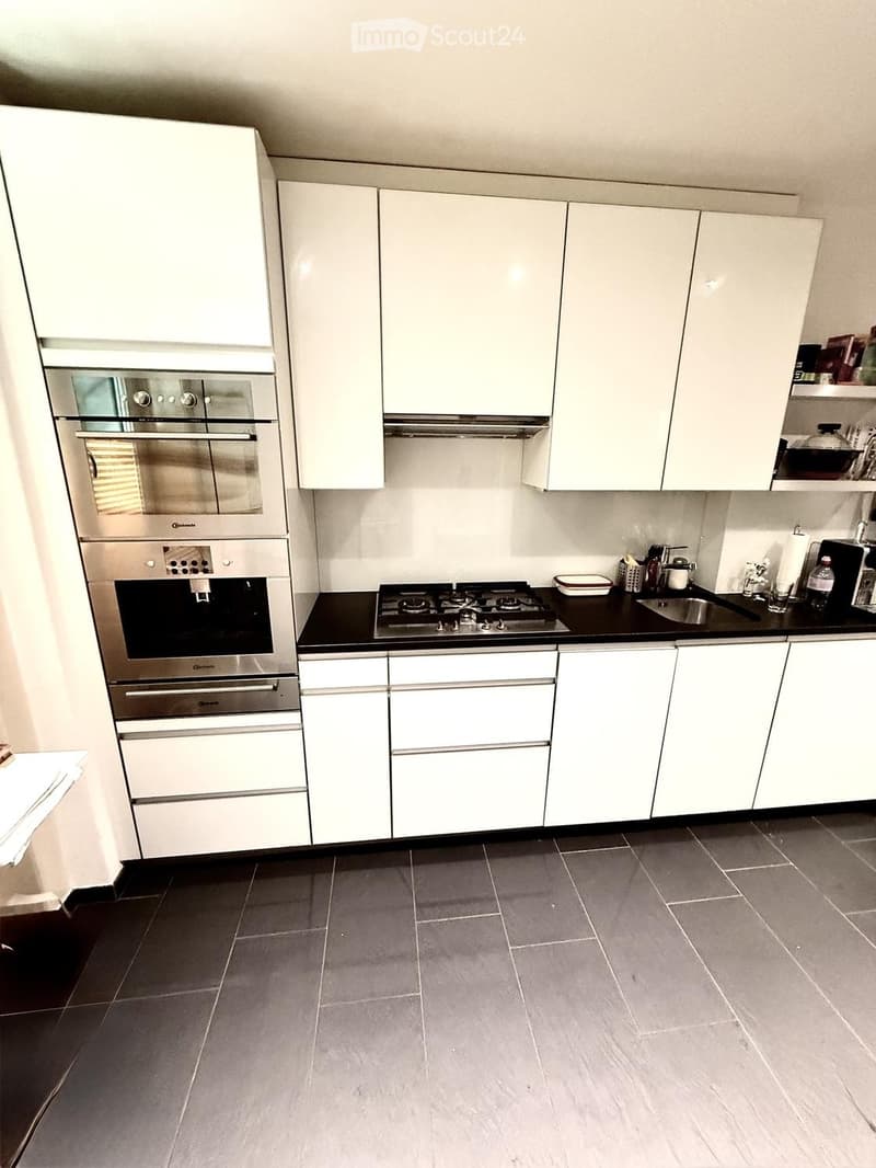 Search for roommate for large central 4 ½ room apartment (2)