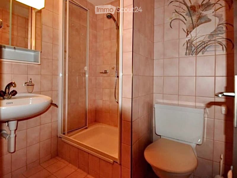 A small bathroom with a sink, toilet, and a walk-in shower. The walls are tiled in a light pink color, and there is a decorative plant design on one wall.