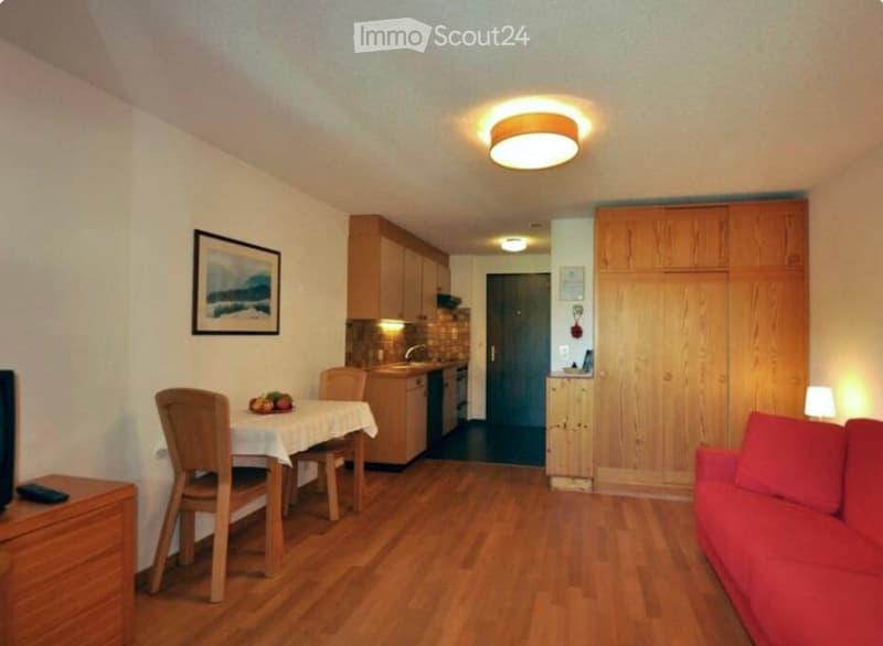 A cozy, well-lit living and dining area with wooden flooring, a red sofa, a dining table with chairs, and a small kitchen area with cabinets and a sink.
