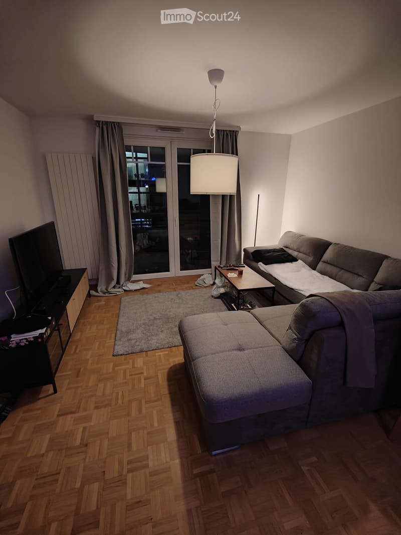 Living room with wooden flooring, grey sectional sofa, coffee table, television, floor lamp, and a rug.