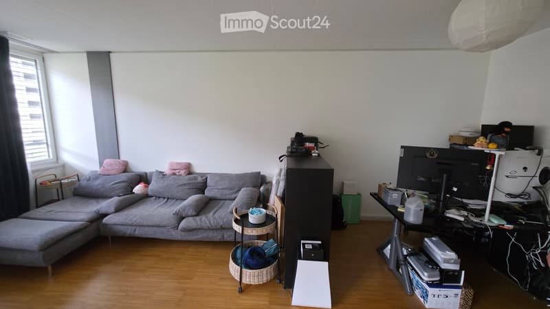 Living room with grey sectional sofa, coffee table, screen, and various items on a table and shelf.