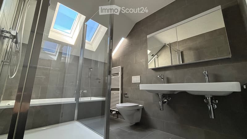 Modern bathroom with dark grey tiles, a bathtub, toilet, sink, mirror, and a glass-enclosed shower area with skylights.