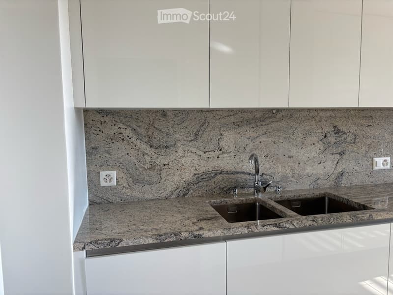 Spacious 4.5-Room Apartment with Balcony and Stunning Views facing Parc La Grange (5)