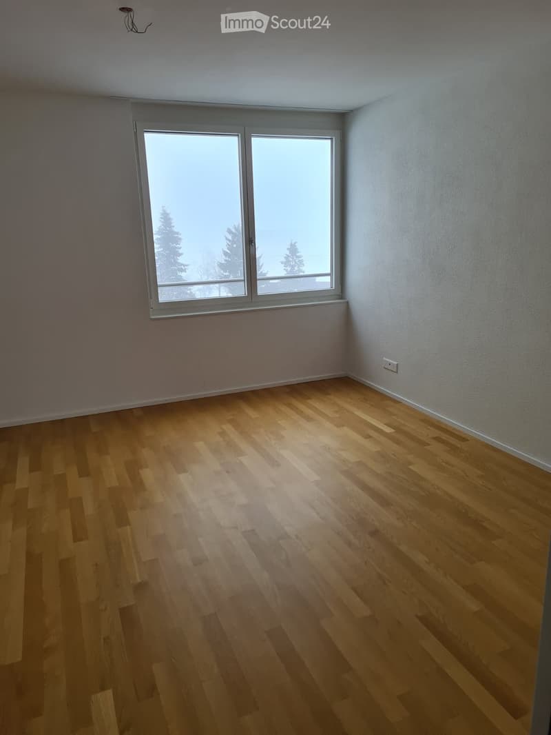 Empty room with light wooden flooring and large windows showing a snowy outdoor view.