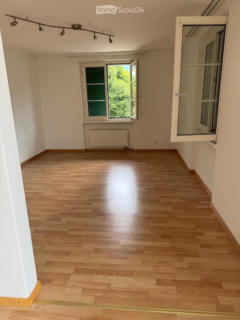 Empty room with wooden flooring, white walls, and large windows with shutters. Features a radiator and a track light fixture on the ceiling.