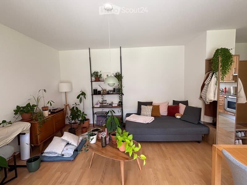 A cozy, well-lit living space with a sofa, coffee table, potted plants, a shelf with books and decor, and a small kitchen area with an oven.