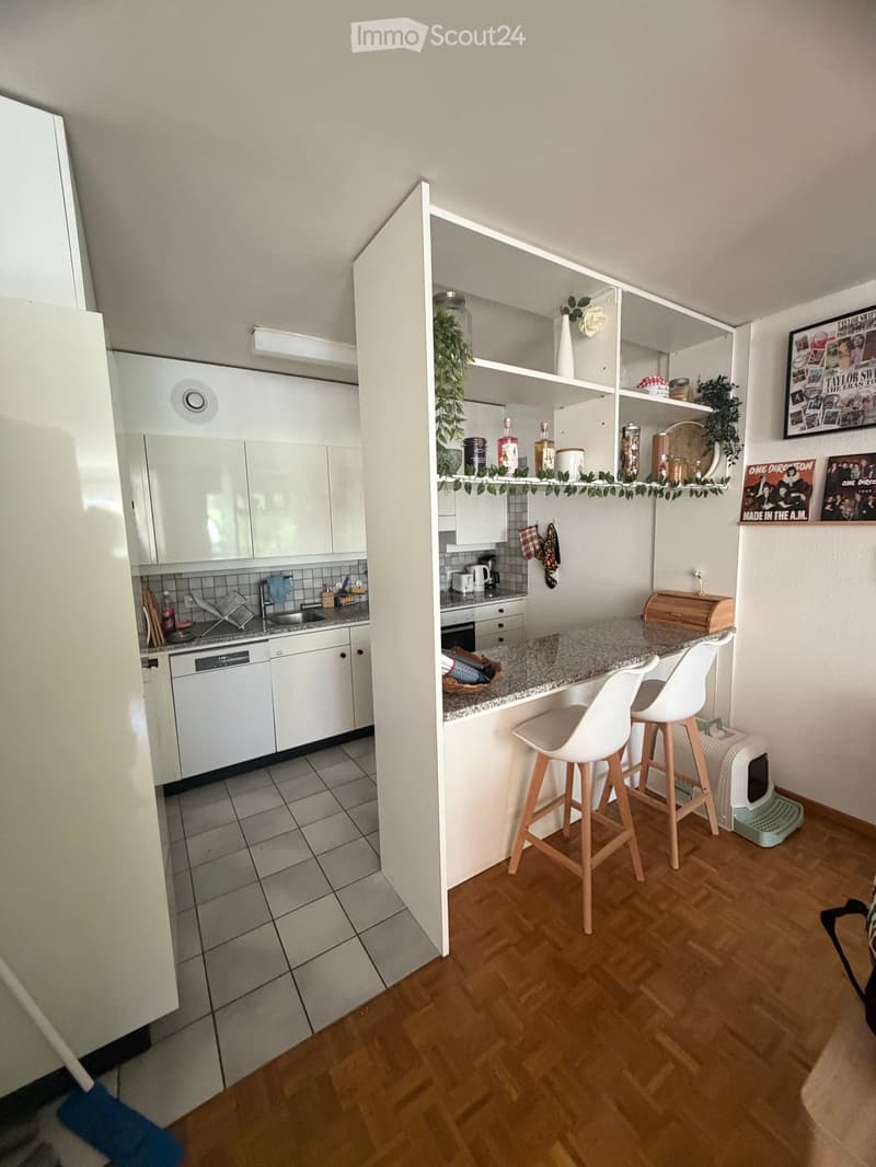 {"type": "Kitchen", "objects": ["refrigerator", "dishwasher", "sink", "faucet", "stool", "cupboard", "oven", "stool", "cat litter box", "framed picture", "books", "vase", "bottle", "plant", "oven", "cup", "coffee maker", "oven", "oven", "oven", "oven", "o