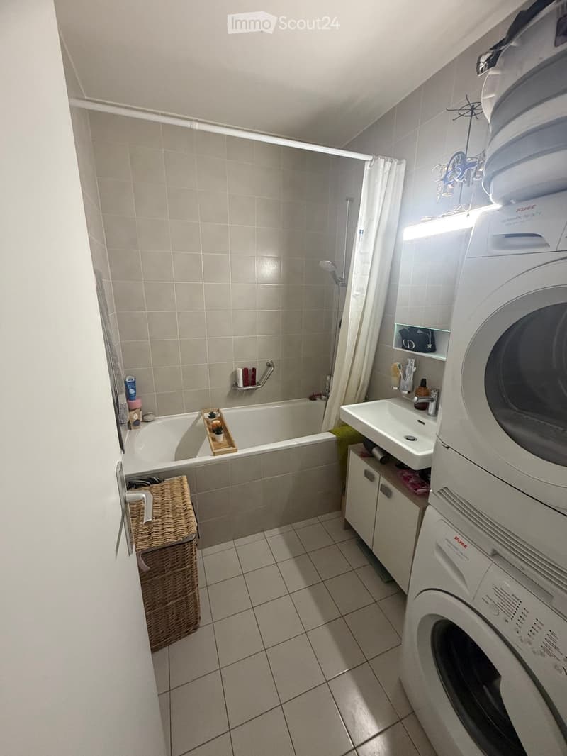 Bathroom with a bathtub, shower, sink, washing machine, wicker basket, and wooden tray with small plants.