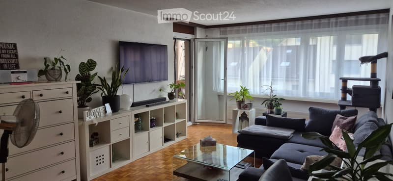 Modern living room with a grey sectional sofa, glass coffee table, TV mounted on the wall, several potted plants, a cat tree, a fan, and a white drawer unit with shelves.