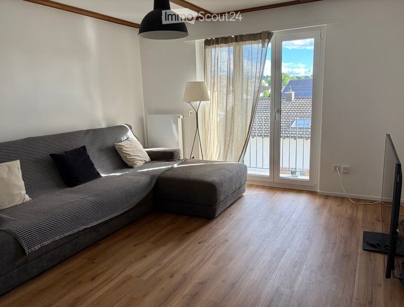 Living room with wooden flooring, grey sofa, floor lamp, television, and large windows with a view of the roof and surrounding area.