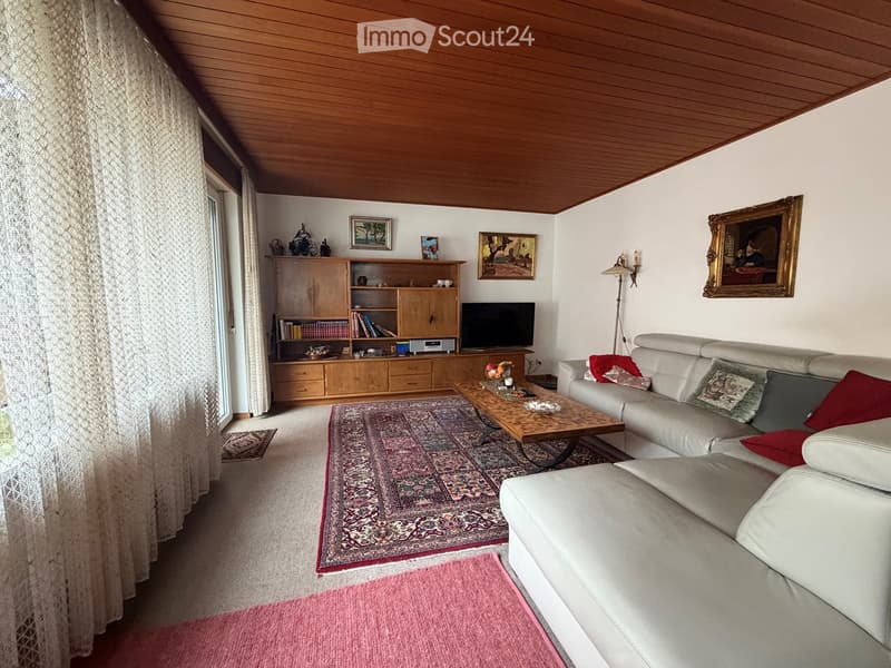 Living room with a white leather sofa, coffee table, bookshelf, television, and decorative items. The room features a patterned rug and a wooden ceiling.