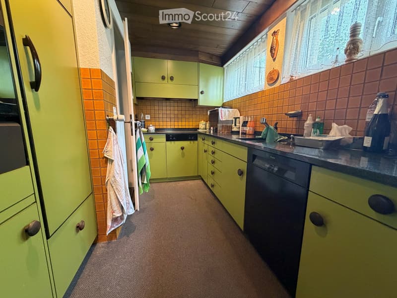 Bright kitchen with green cabinets, orange tiled backsplash, and a black countertop. Includes a refrigerator, dishwasher, sink, and various kitchen items.