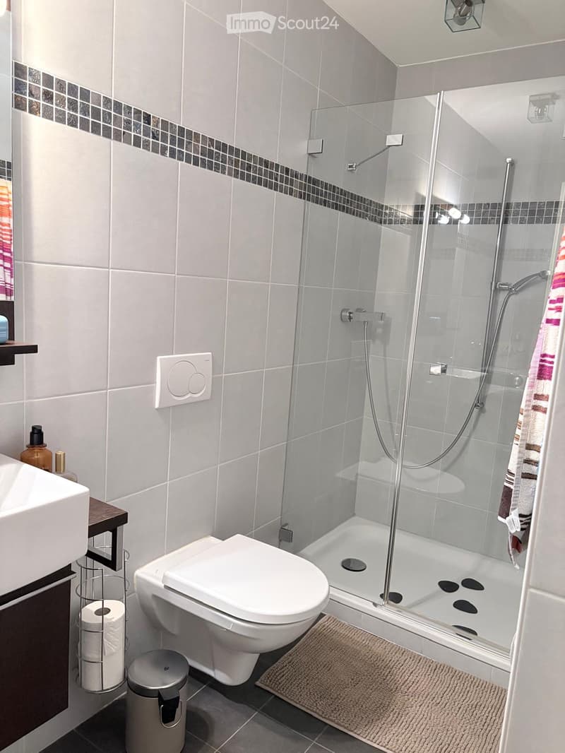 Modern bathroom with grey tiles, a glass-enclosed shower, a toilet, a sink, and a small wooden shelf holding toiletries.