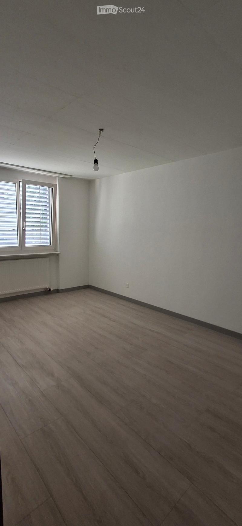 Empty room with wooden flooring, white walls, and a single window with blinds. A radiator is visible below the window, and a single light fixture hangs from the ceiling.