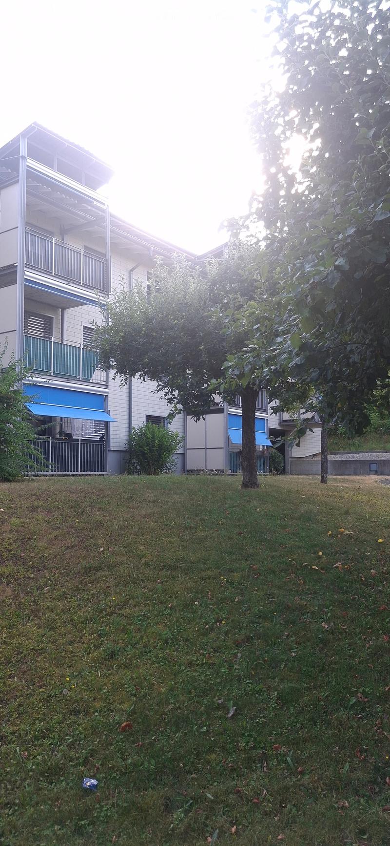 A grassy lawn in front of a modern two-story building with balconies and blue awnings, surrounded by trees and shrubs.