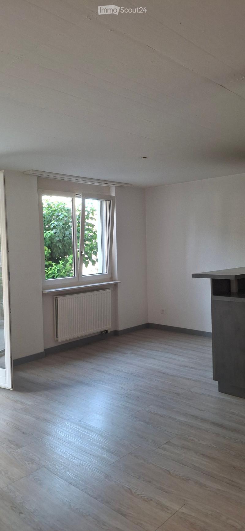 Empty room with light wooden flooring, white walls, and a window with a radiator below it. The room has a modern, minimalist design with no furniture or decorations.