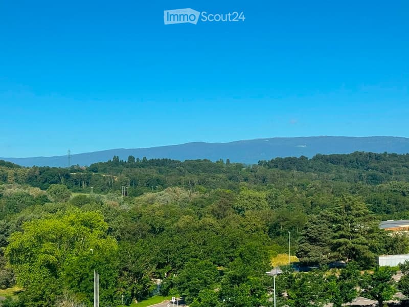 A panoramic view of a lush, green landscape with dense forest covering the lower hills and a clear blue sky above. The area includes a mix of trees, open spaces, and a few scattered buildings in the distance.