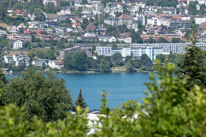 A panoramic view of a cityscape with numerous residential and commercial buildings, surrounded by greenery and a body of water in the foreground.
