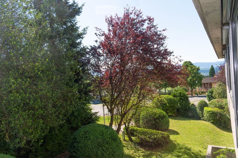 Well-maintained garden with green grass, trimmed bushes, and trees, including a red-leaved tree and a conifer, with a view of a distant house and playground.