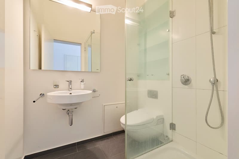Modern bathroom with a white sink, mirror, toilet, and glass-enclosed shower. Features sleek fixtures and a clean, contemporary design.